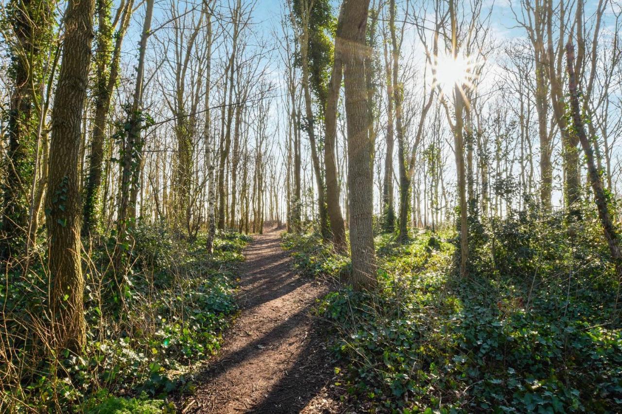 Sunnybeachhouse Aan Het Bos, Tussen Zee En Meer. ノールトウェイケルハウト　 エクステリア 写真